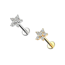 Cargar imagen en el visor de la galería, Flower Cz Labret
